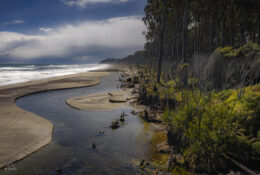 New Zealand 2025 (2 group) (64/84)